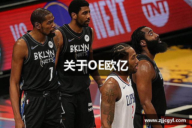 关于OE欧亿